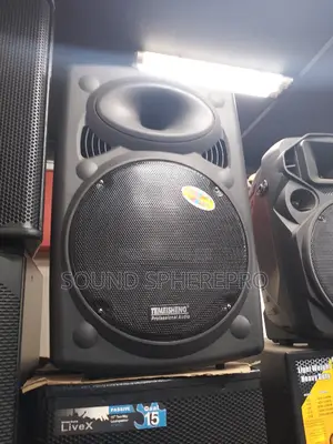 Temeisheng 15 Inch Powered Speaker