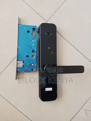 RFID Access Mastery.Wifi Biometric Door Lock Solutions
