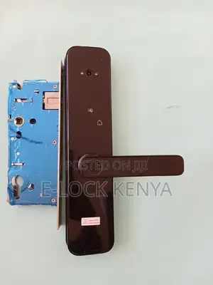 Biometric Mastery.Wifi Door Lock With RFID Integration