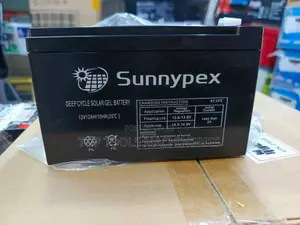Sunnypex 12ah 12V Battery