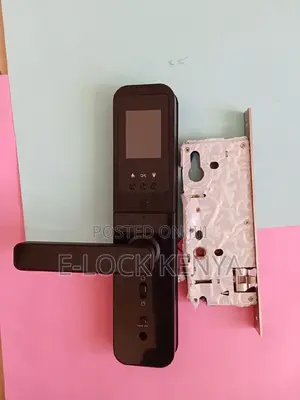 RFID Access Control.Smart Biometric Wifi Door Lock