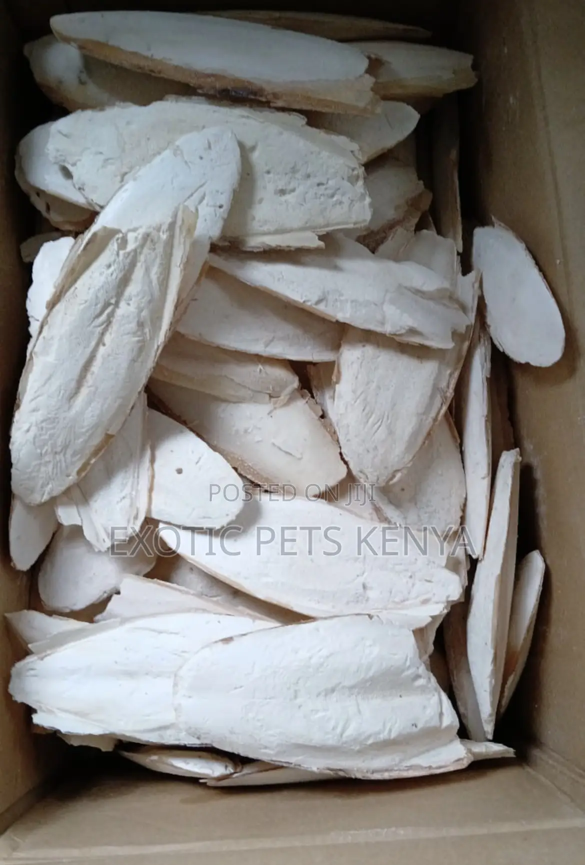 Calcium Blocks/Bones for Birds