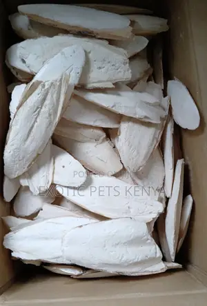 Calcium Blocks/Bones for Birds