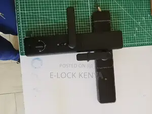 Passcode Access Control.Biometric Wifi Door Lock Solutions
