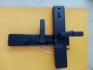 Wifi Enabled Security.Smart Biometric Locks With Passcode