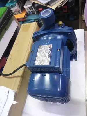 Pedrollo 1.0hp Booster Pump