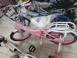 Size 16 Pink Lady Bird Bicycle