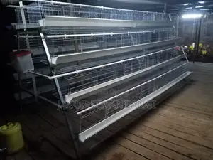 Chicken Cage