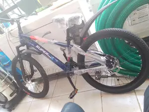 Super Boss Size 24 With Disk Brakes.