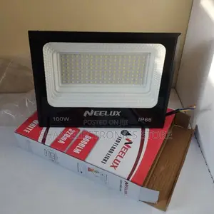 100W AC Electric Floodlight--100 Watts 100W AC Electric