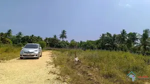 Prime Plots in Mtwapa, 2.7 Km From Kilifi - Mtwapa Highway