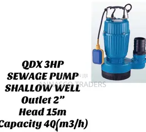 Sewage Pump Shallow Well Outlet 2"
