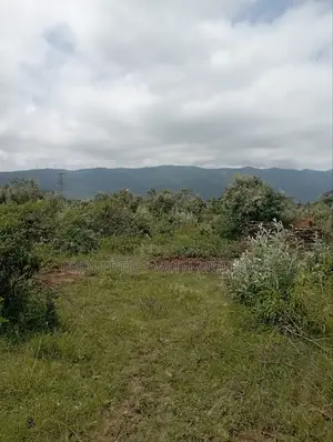 Plot for Sale in Kimuka,Ngong.