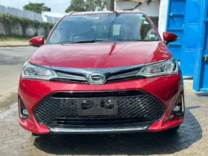 Toyota Corolla Fielder 2018 Red