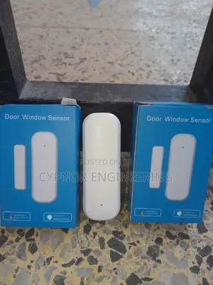 Check Smart Door Sensor Status Instantly