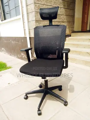 Orthopedic ,Ergonomic Office Chair