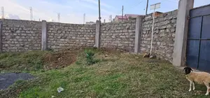 1 Acre for Sale in West Indies Eldoret CBD