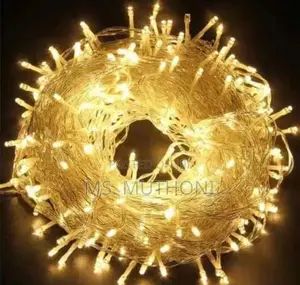 *10metre Led Decor*  as Per Image 
