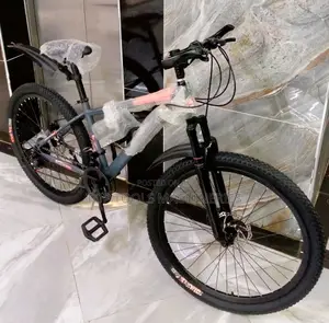 Mountain Bike Size 24