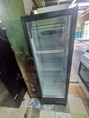 Display Fridge 300L