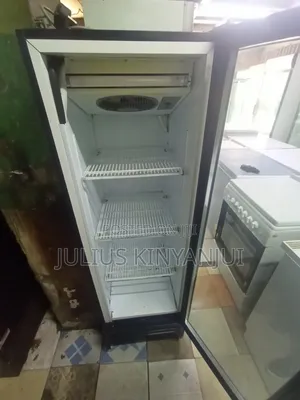 Display Fridge 300L