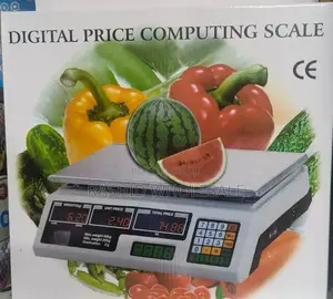 Scale Digital Computing.