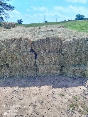 Boma Rhode Hay Bales