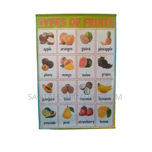 Types of Fruits Educational Wall Chart