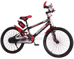 Molibb Adult Bicycle Size 20"