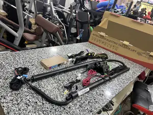 Harrier Tailgate Boot Shock Electric