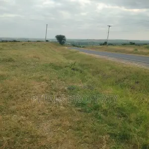 40 Acres for Sale in Pipe Line Road Birika