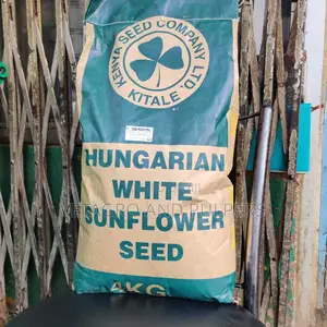 Hungarian White Sunflower Seed