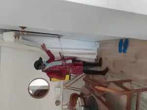 Best Fumigation Services Sofa Clean Up