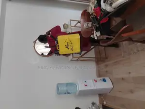 Bedbugs Elimination Cleaning Services