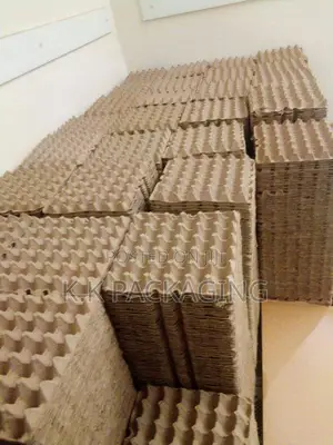 100pcs at 1500 Carton Trays