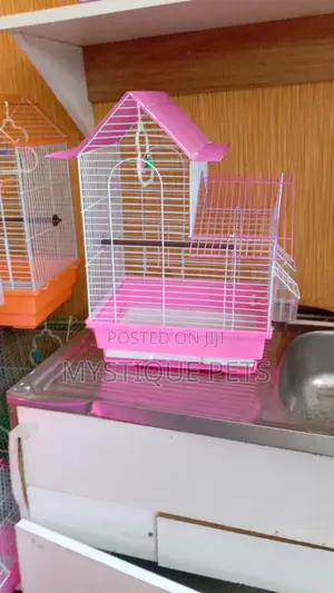 Bird Cages