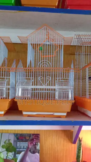 Bird Cages
