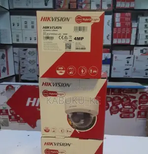 Hikvision 4MP Smart Dual Light Dome IP Camera With Mic