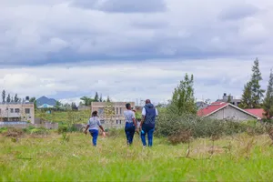 Syokimau Plots Near Tarmac, Ww^