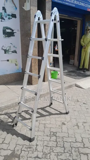 Adjustable 24" Little Giant Ladder