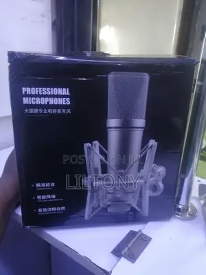 Professional Microphone