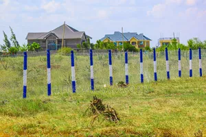 Touching Katani Rd ^SM