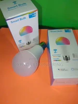 Smart Bulb With Color and Temperature Presets