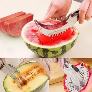 Stainless Steel Melon Cutter