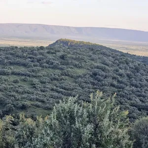 20 Acres on Hill Past Kisamis at Per Acre