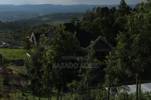 1/8 Acre Lemiso Road at 3.5m