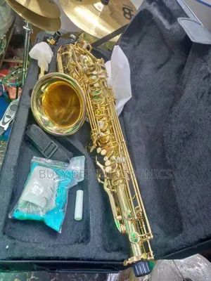 Suzuki Alto Professional Saxophone