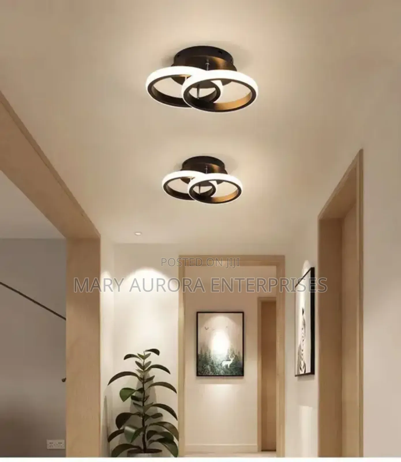 Led Ceiling Lights/Small Chandeliers