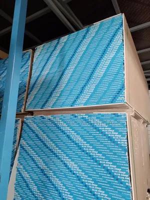 Blue Swan 9mm Gypsum Board