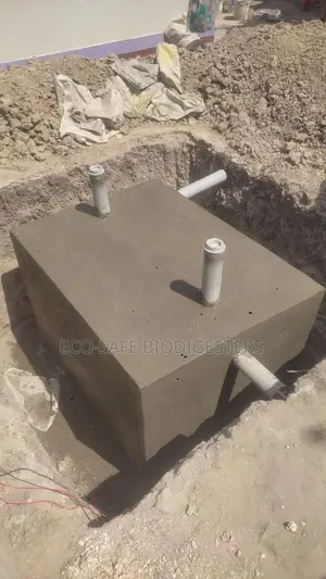 Biodigester Installation Services Biodigester Bacteria